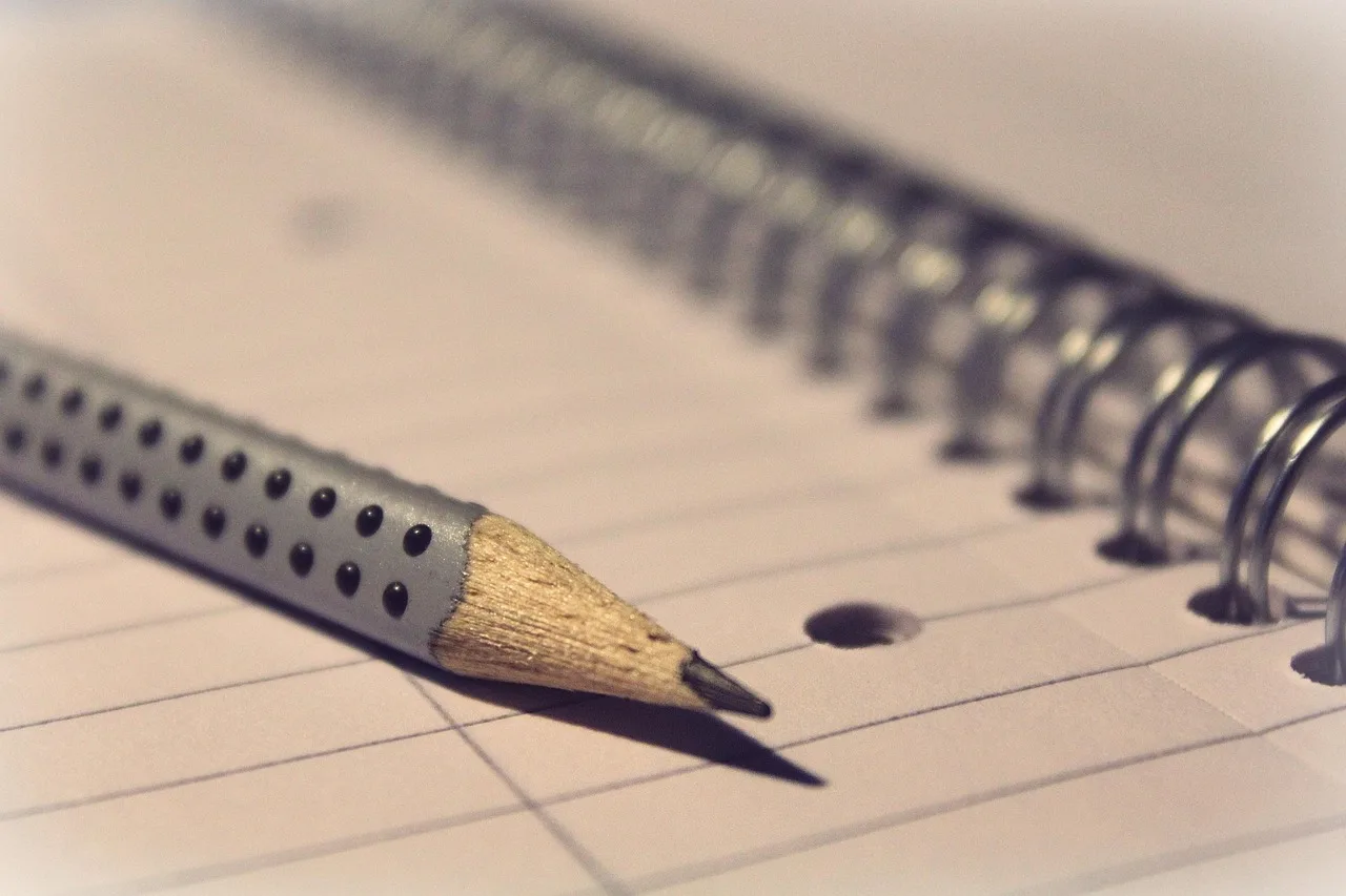 notepad, pencil, pen, paper, lined, lines, strip, ring binder, folder, block, paper block, write, letter, office, empty, work, folder, folder, folder, folder, folder. Plan fundamentals for a bank loan: the one reader and the decision