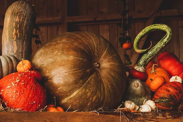 pumpkin, harvest, autumn, fall, season, pumpkin, pumpkin, harvest, autumn, autumn, autumn, autumn, fall, fall, fall, fall, fall. Seasonal business plan: staffing for peak season